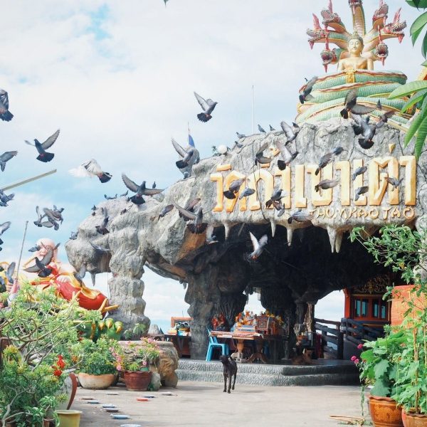 106120558_2613534645553188_3052067975215271683_n