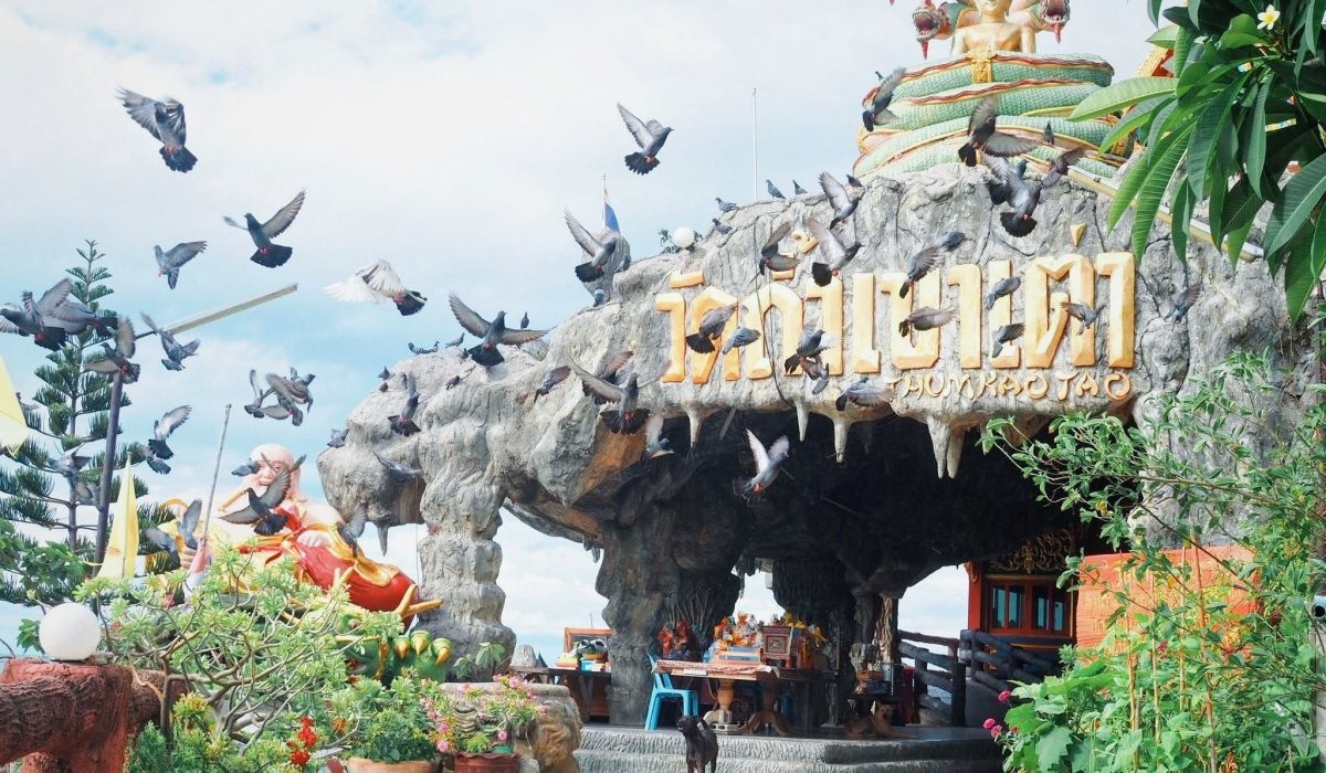 106120558_2613534645553188_3052067975215271683_n