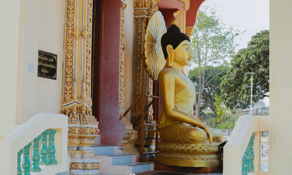 480605817_975566848092137_6817396071090792520_n