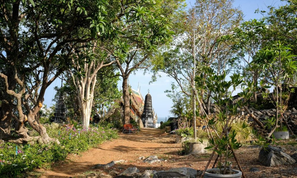 480794147_976501704665318_2370355784753396314_n