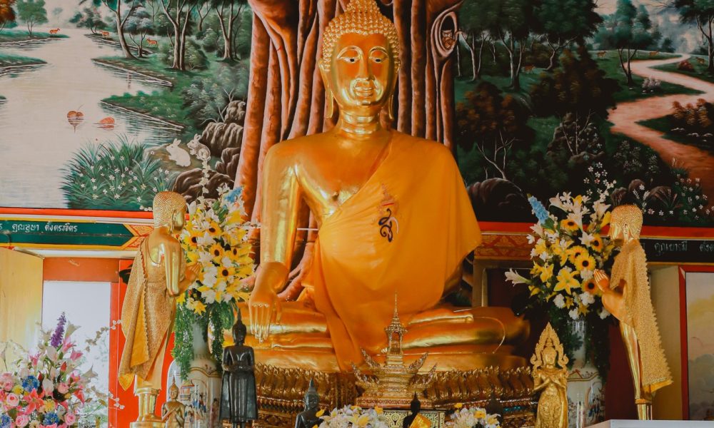 480953251_975566908092131_1481917138278020806_n