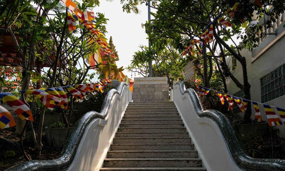 481003102_977123534603135_7275630624600777697_n