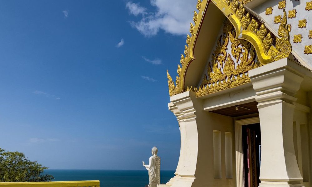 481074878_977123521269803_4928216103613293273_n