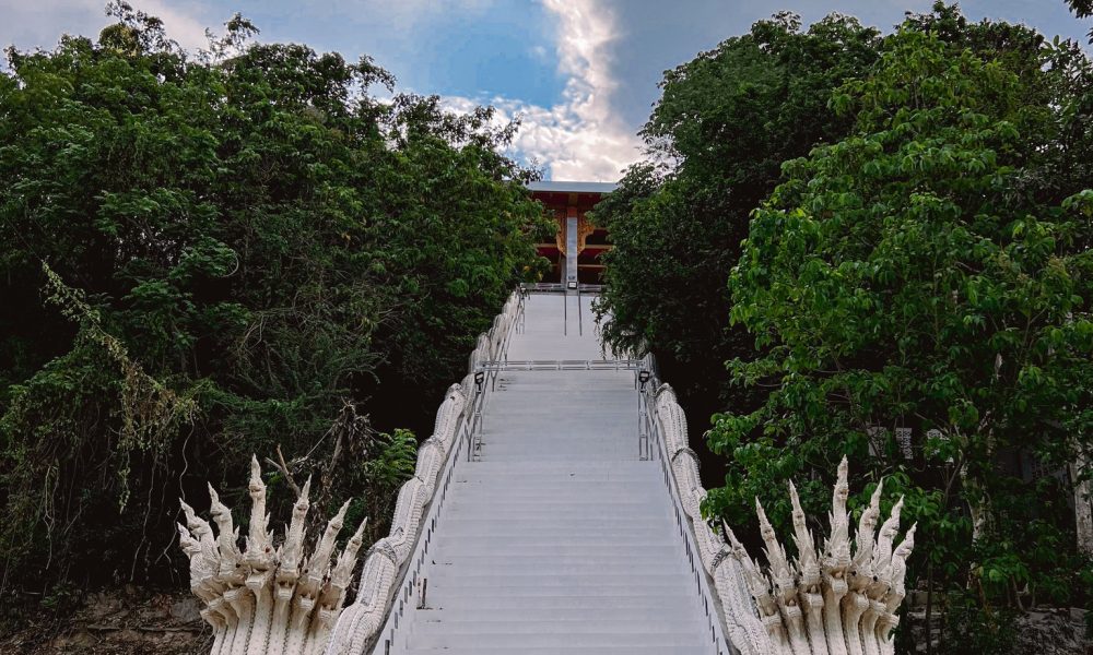 481126446_976504867998335_528126991834296778_n