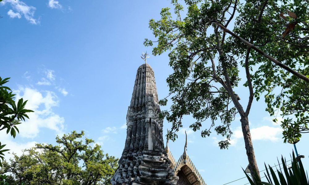 481211258_976501424665346_2047727562918699983_n