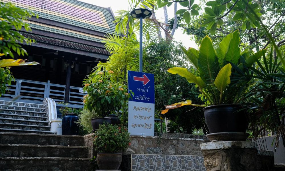 481231147_976501594665329_7431041069110025544_n