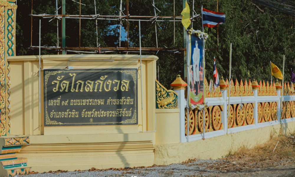 481235551_975566961425459_6237773893069710148_n