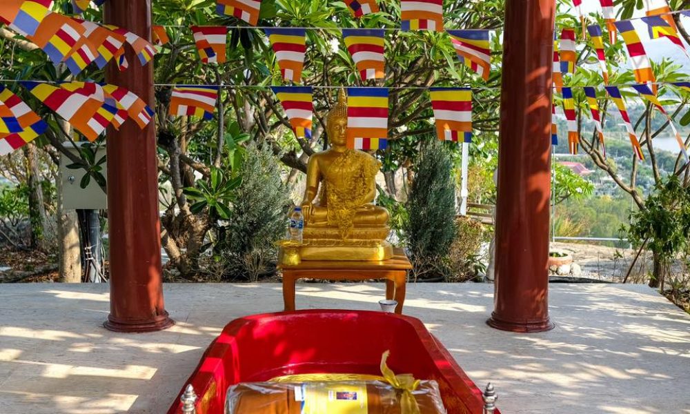 481252663_977123514603137_4177565711416341935_n