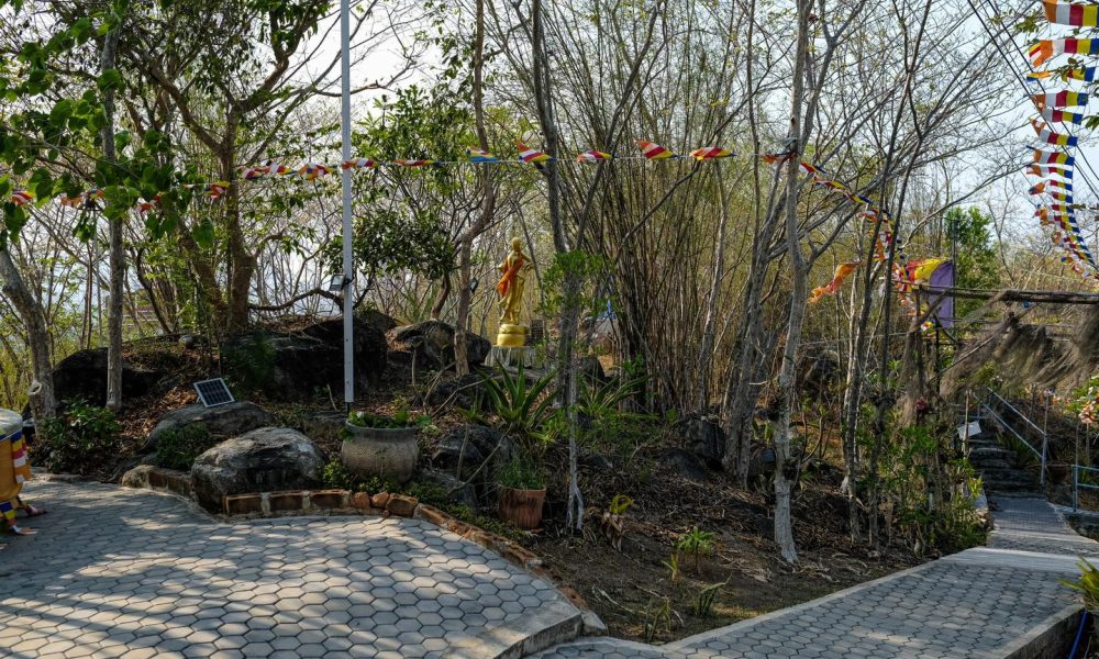 481319384_977123447936477_2358717663097854216_n