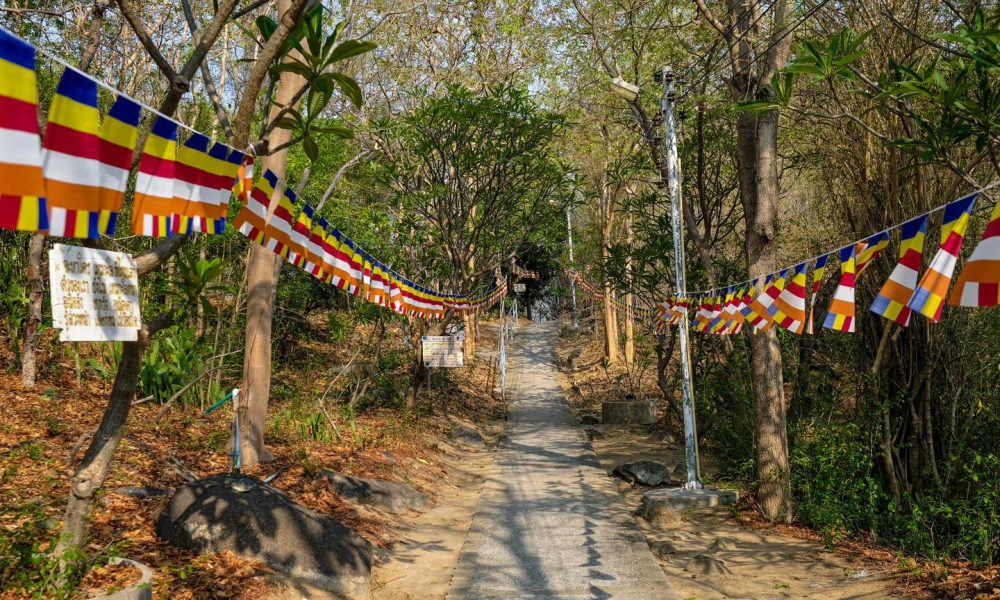 481471029_977123511269804_7666328525733806532_n