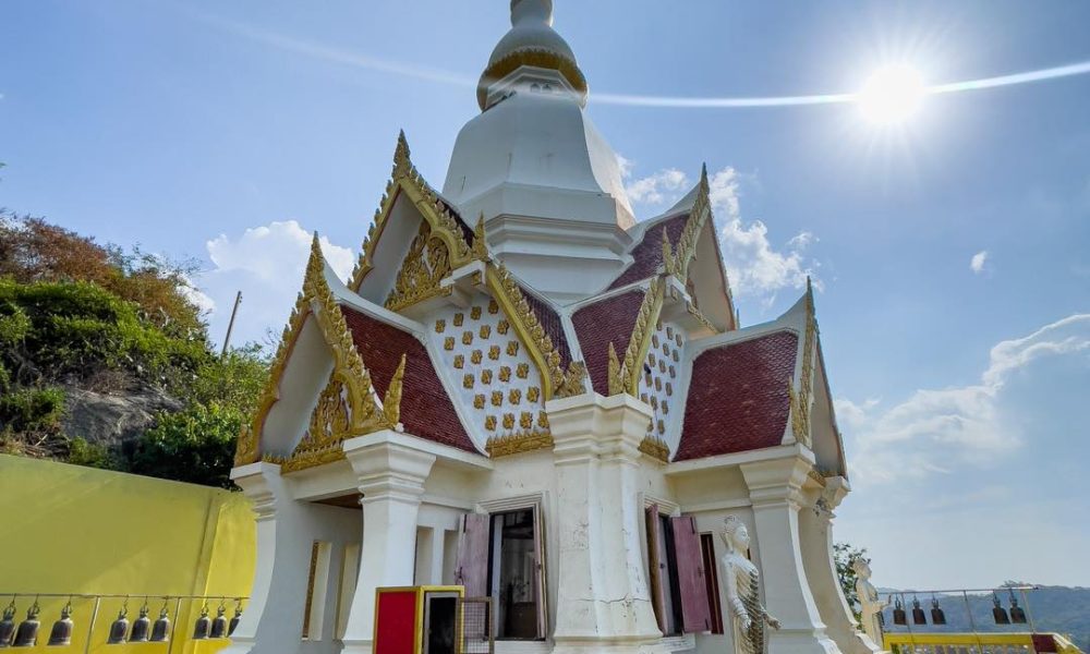 481482797_977123791269776_5018442428456434334_n