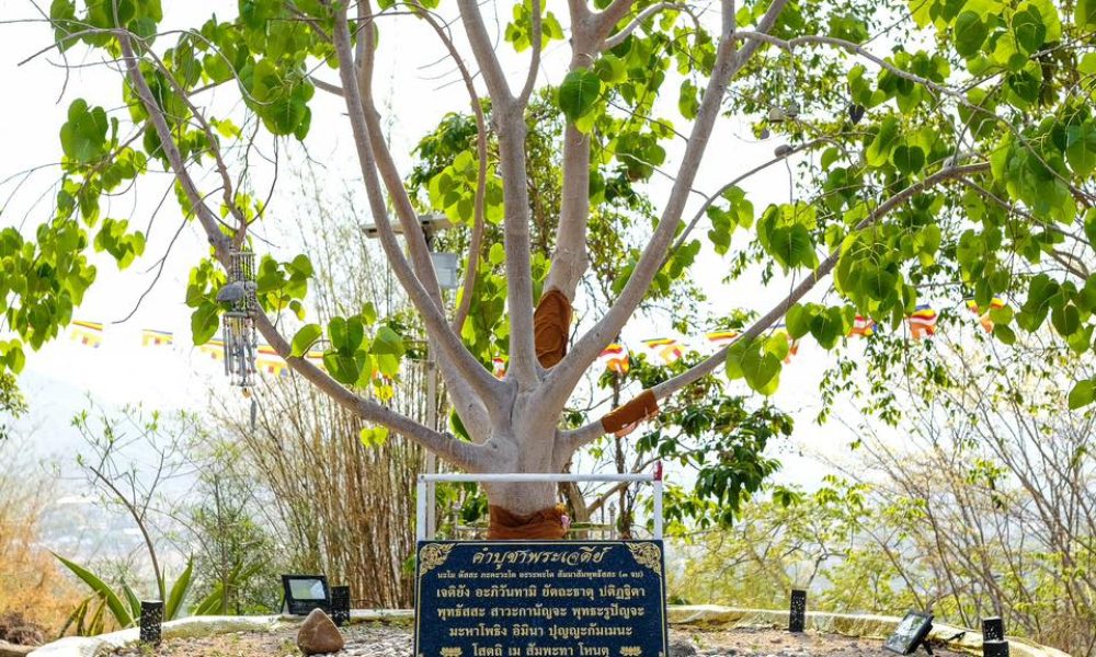 481777149_977123424603146_6812253298225605478_n