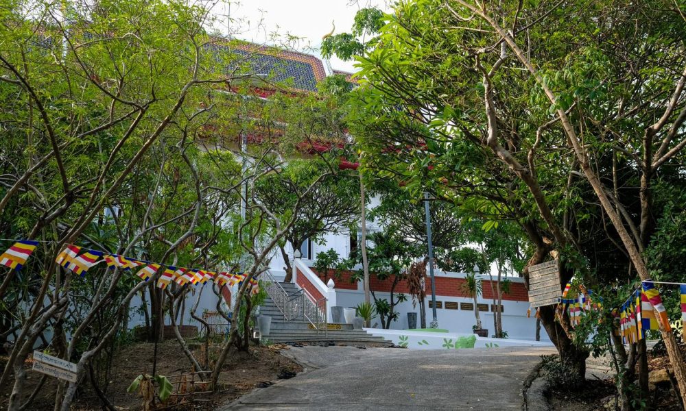 482324444_977123427936479_4648229739625426835_n